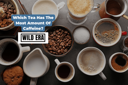 Which Tea Has The Most Amount Of Caffeine? - Wild Era Energy Tea Co.